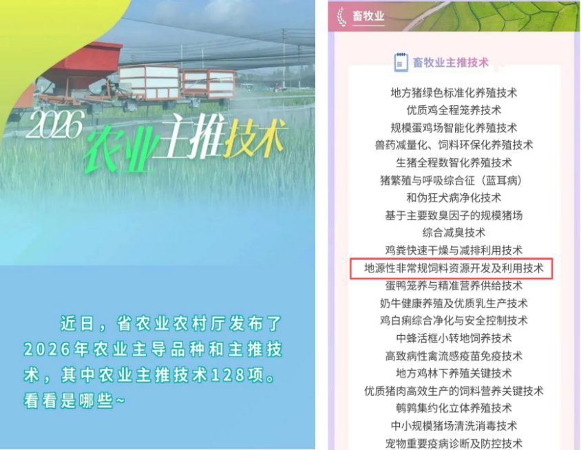 真人游戏(官方)最新IOS/安卓版/手机版APP下载